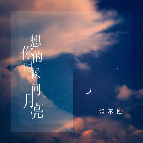 想你的时候问月亮(DJ九零版)