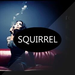 Cover of Squirrel