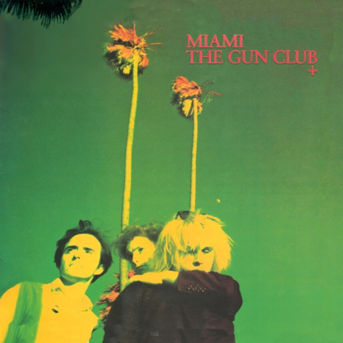Album cover of A Devil in the Woods
