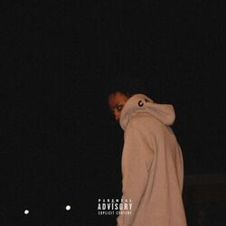 Cover of Say Less Feel More