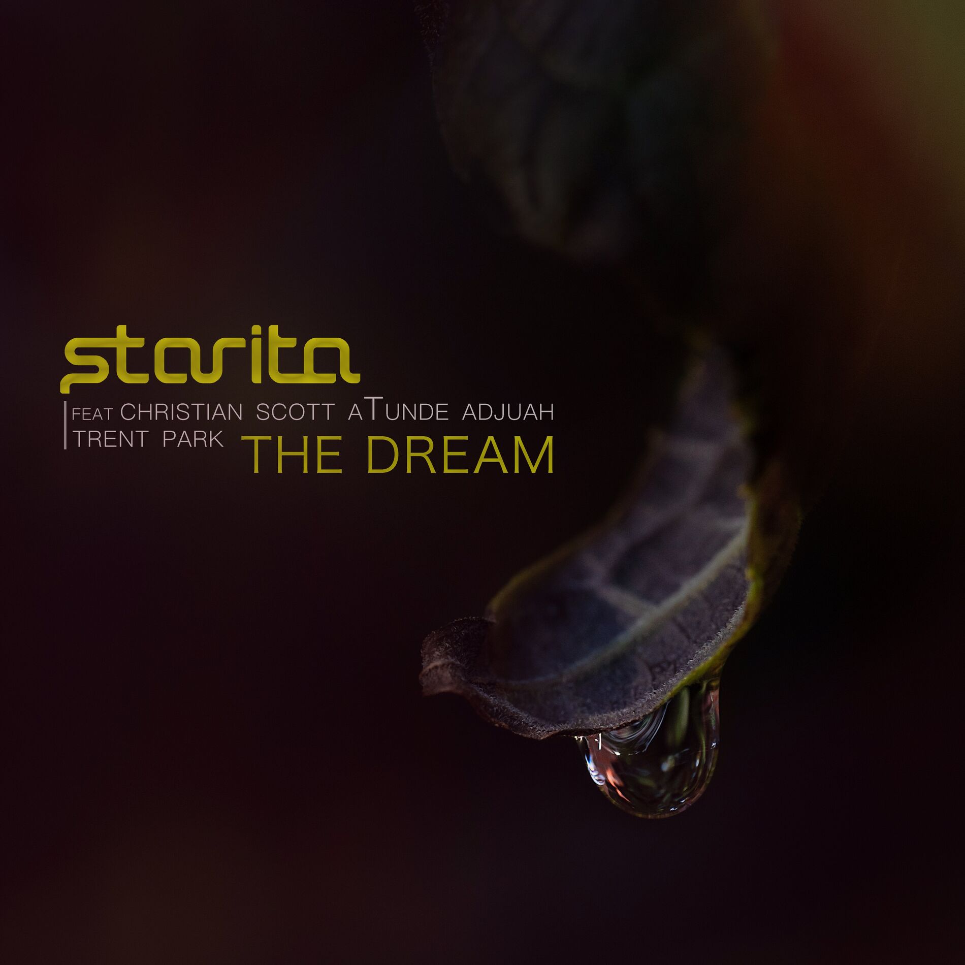 Album cover of The Dream