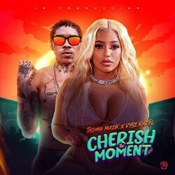 Cover of Cherish The Moment
