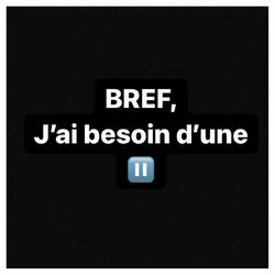 Cover of Bref, j'ai besoin d'une pause