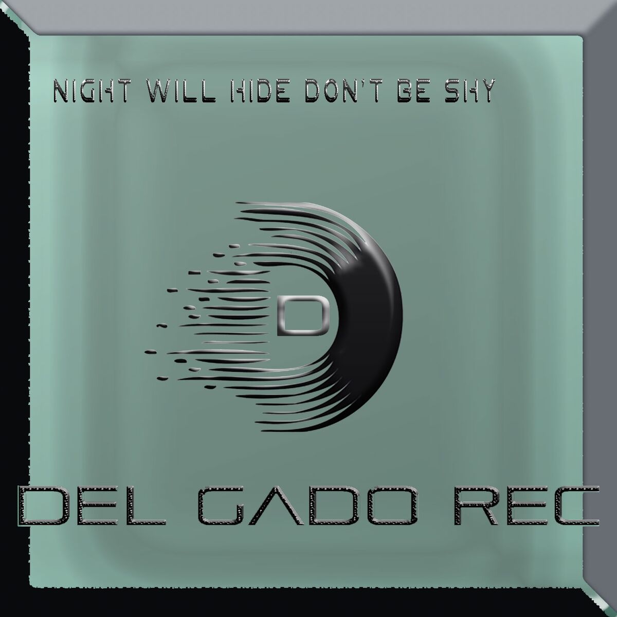 Album cover of Night Will Hide Don't Be Shy