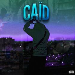 Cover of CAÏD