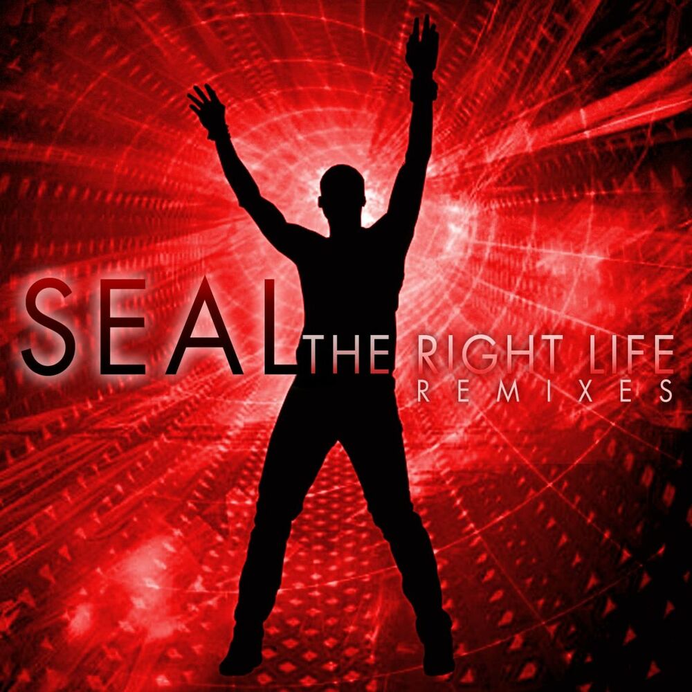 Picture of The Right Life (The Remixes)