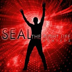 Cover of The Right Life (The Remixes)