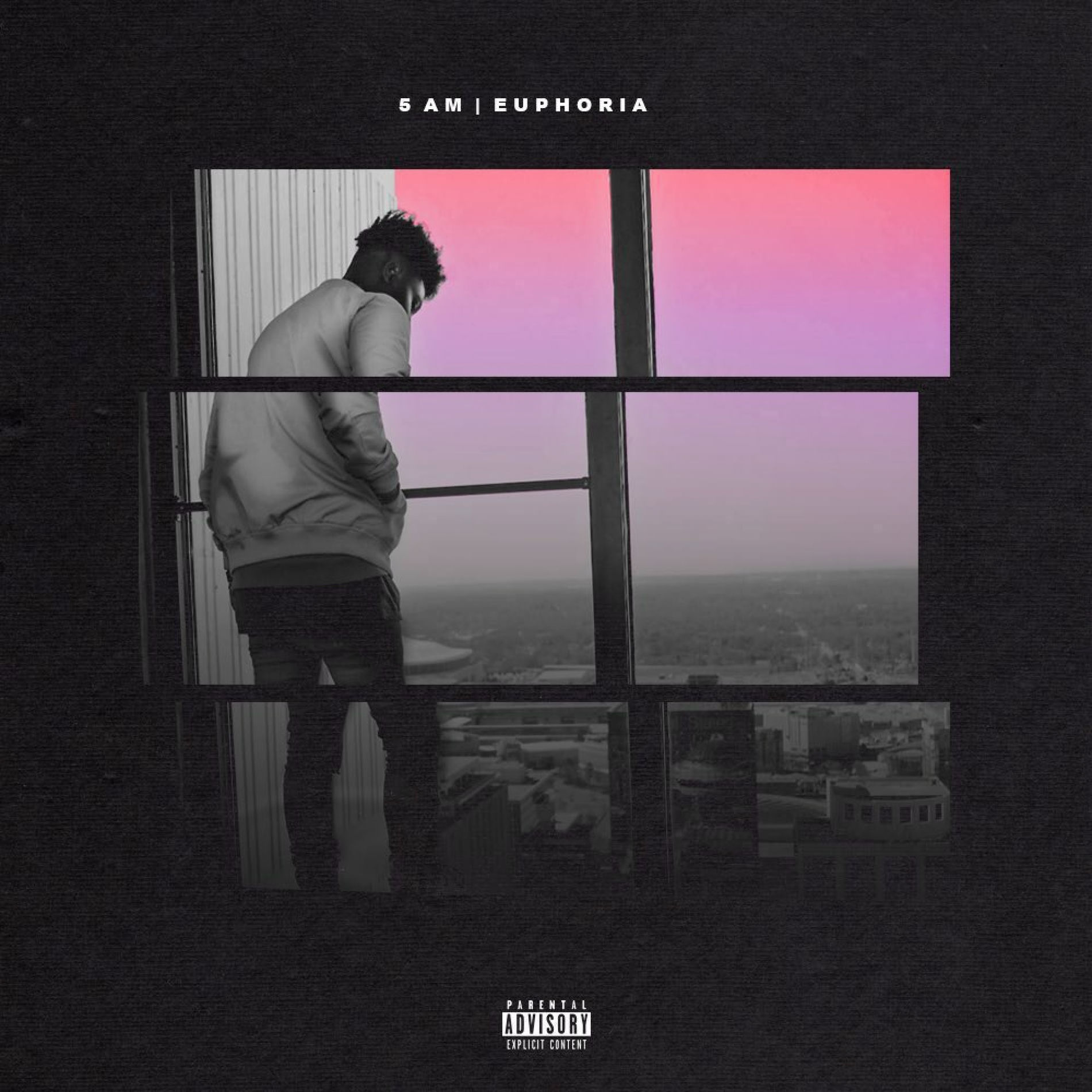 Album cover of Euphoria