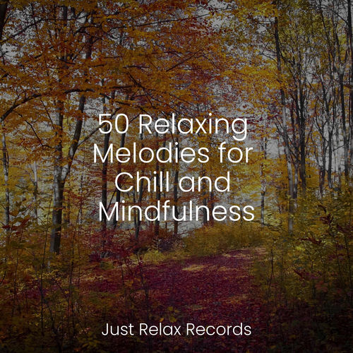 50 Relaxing Melodies for Chill and Mindfulness