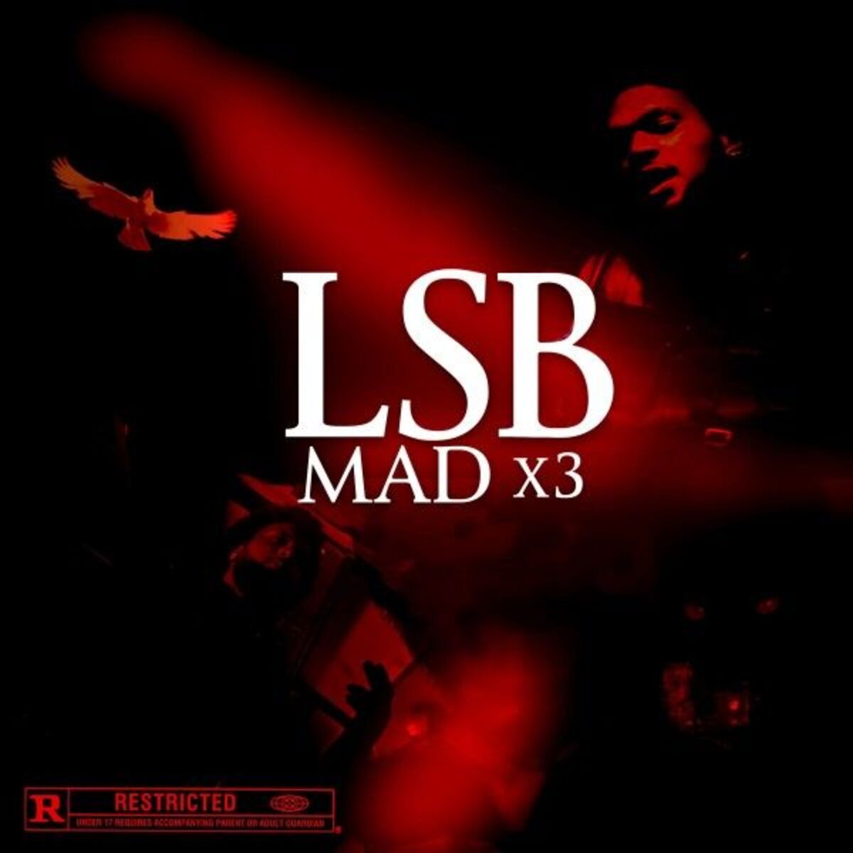 Album cover of Mad X3