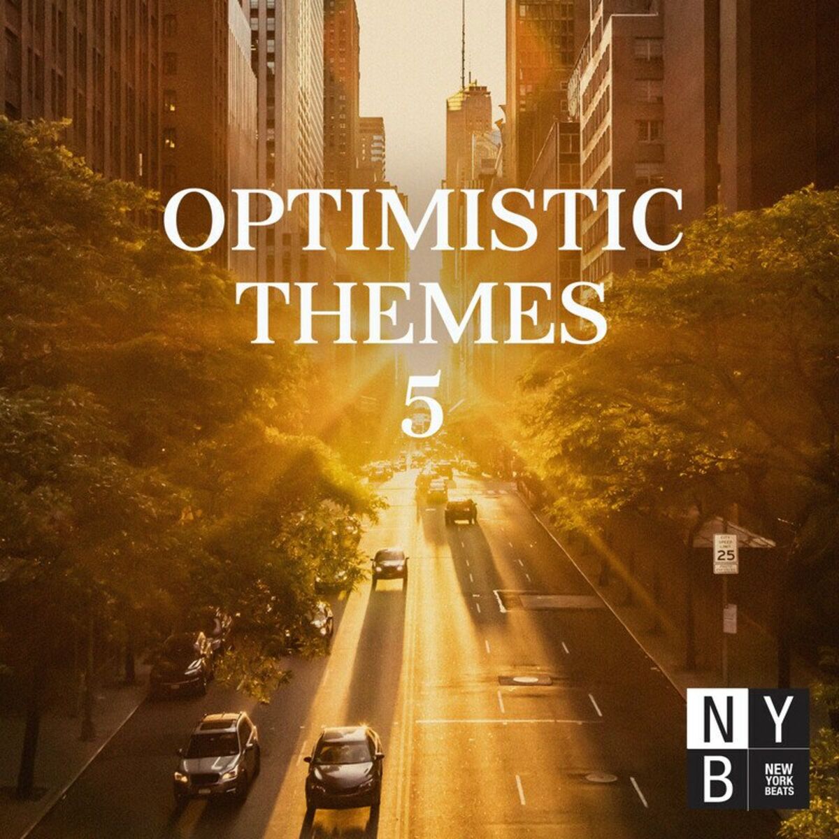 Album cover of Optimistic Themes 5 (Edited)