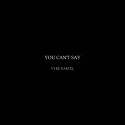 Cover of You Can't Say