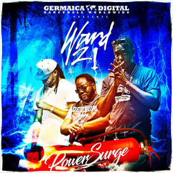 Cover of Power Surge