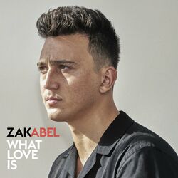 Cover of What Love Is