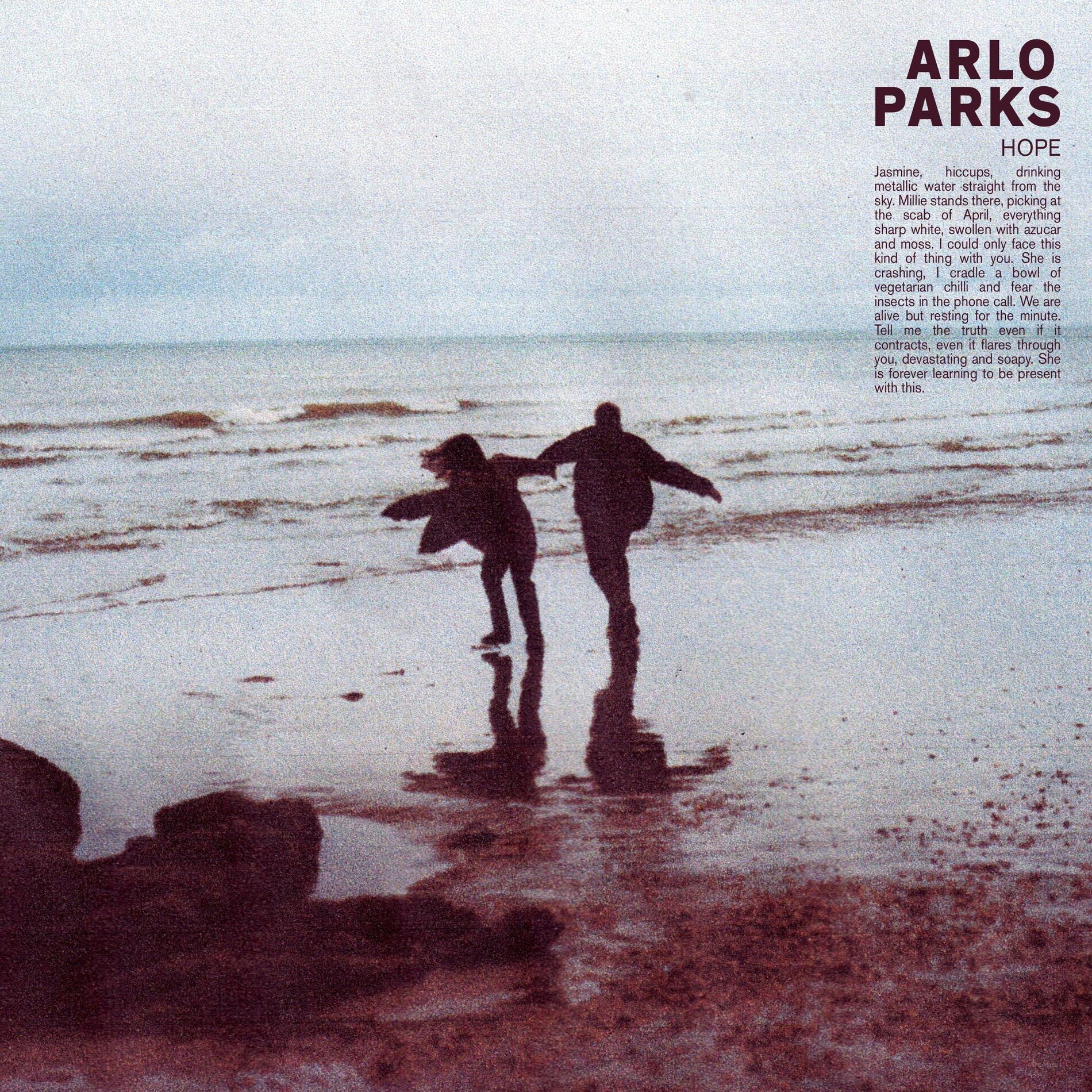 Album cover of Hope