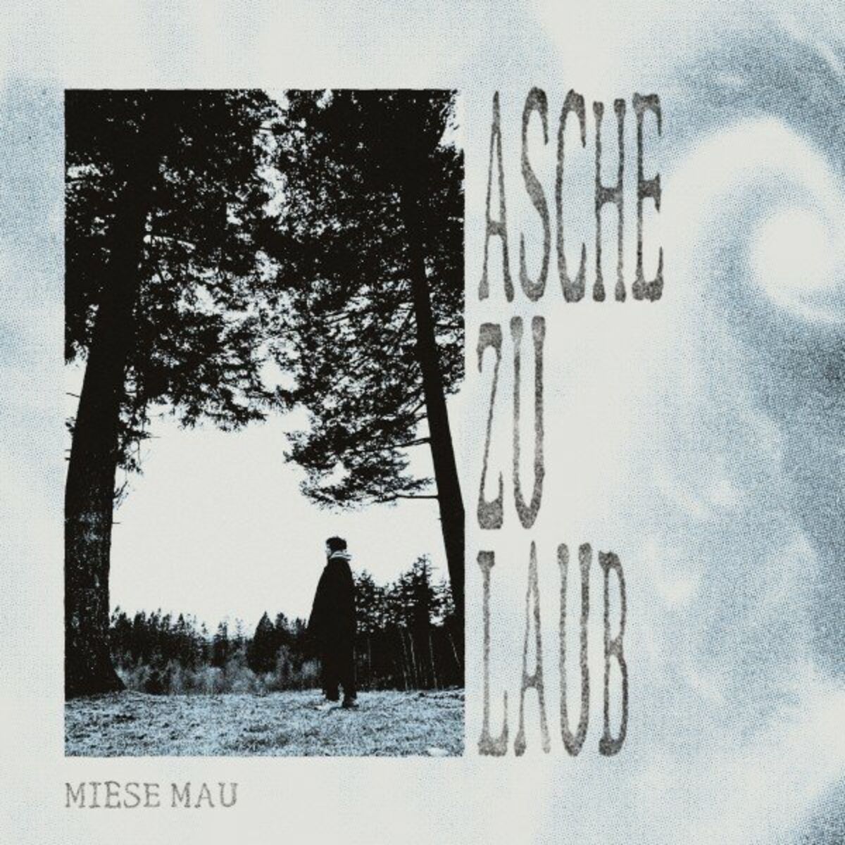 Album cover of Asche zu Laub