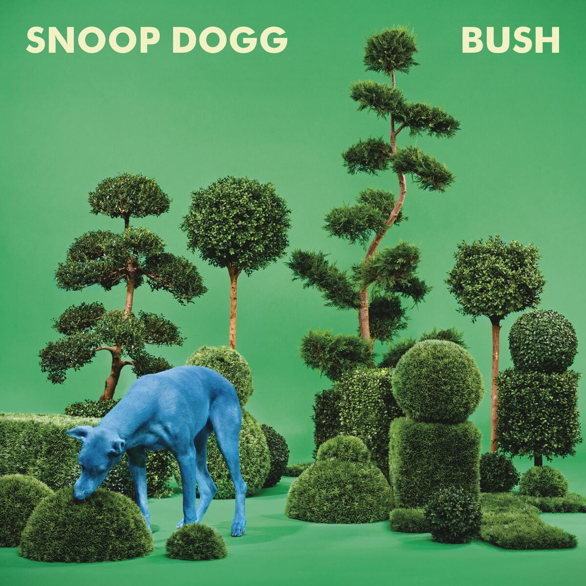 Album cover of This City