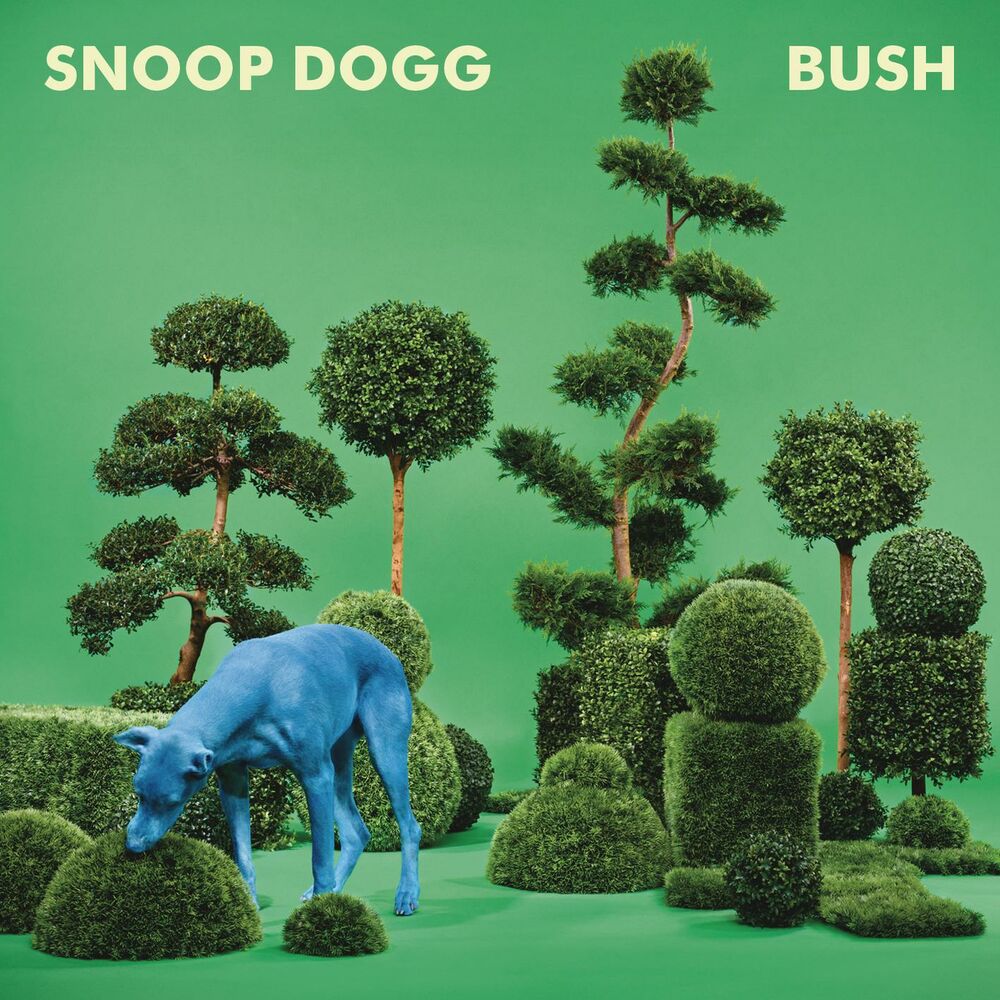 Picture of BUSH