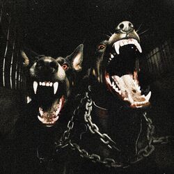 Cover of DAWGS