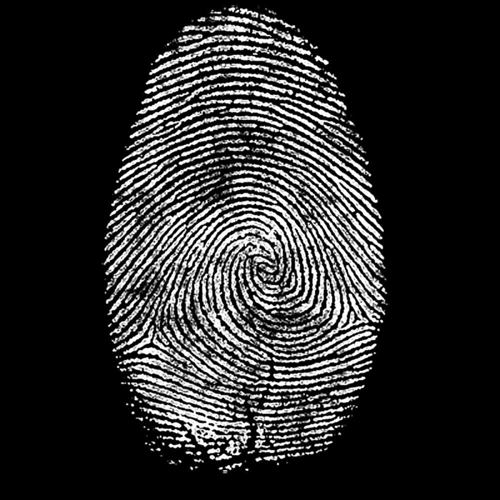 Picture of VISA Prick