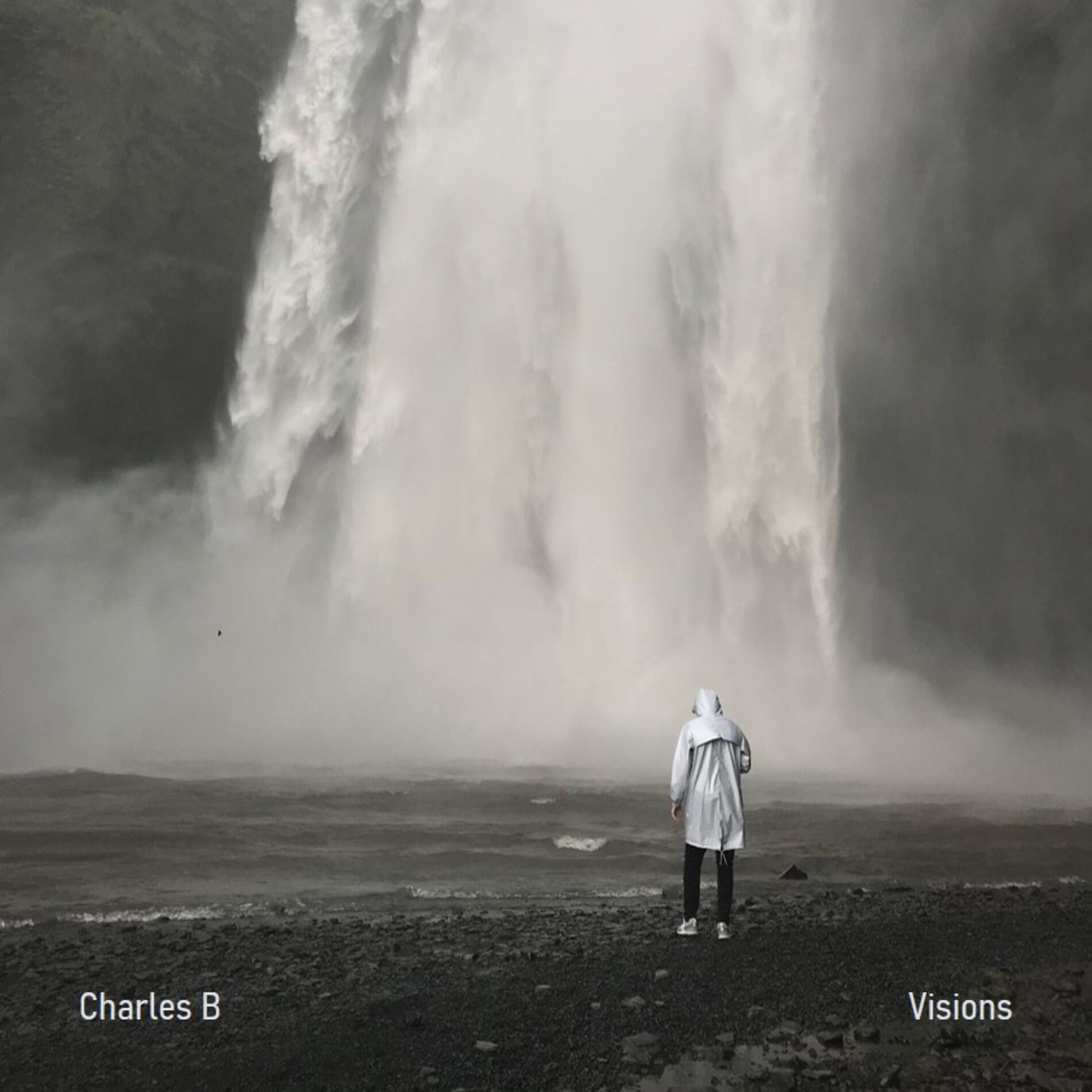Album cover of Visions