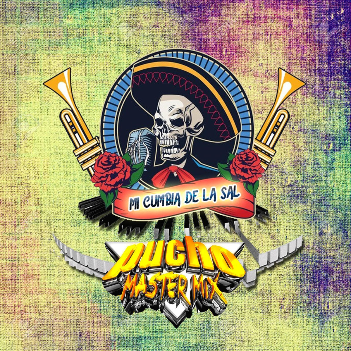 Album cover of Mi cumbia de la sal con wepa