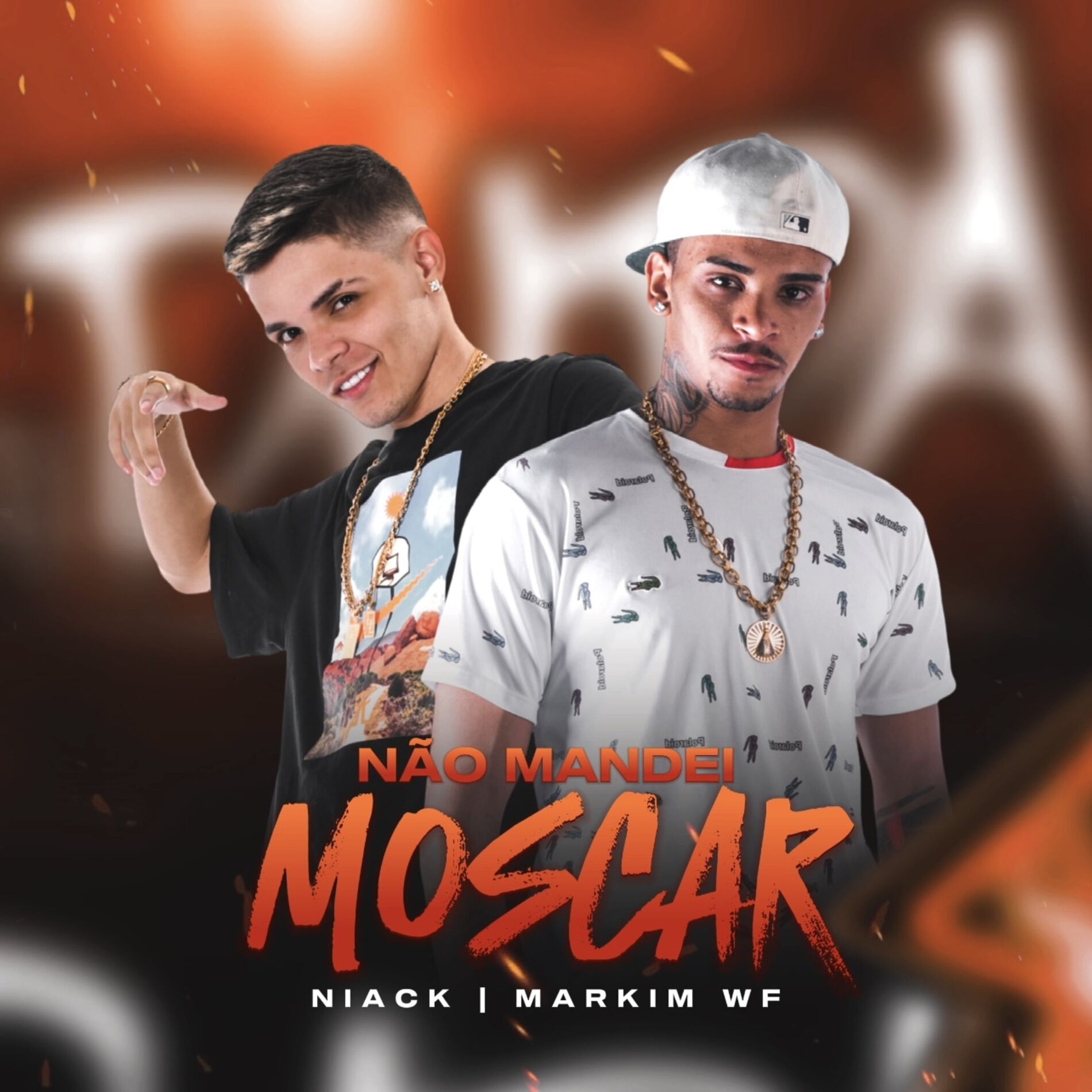 Album cover of Não Mandei Moscar