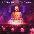 Poder Budista da Calma: T&eacute;cnicas M&iacute;sticas de Medita&ccedil;&atilde;o Antiga