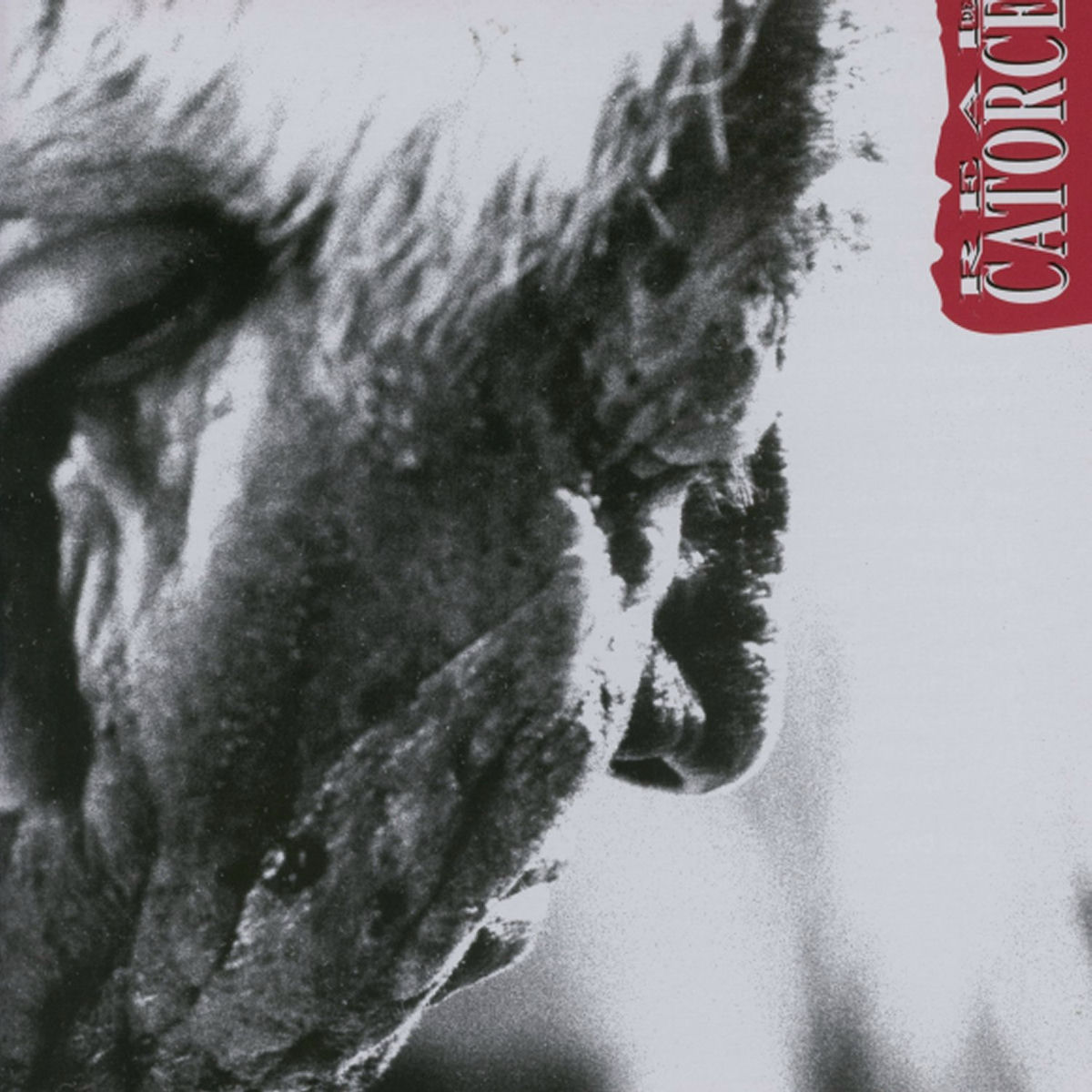 Album cover of Cicatrices