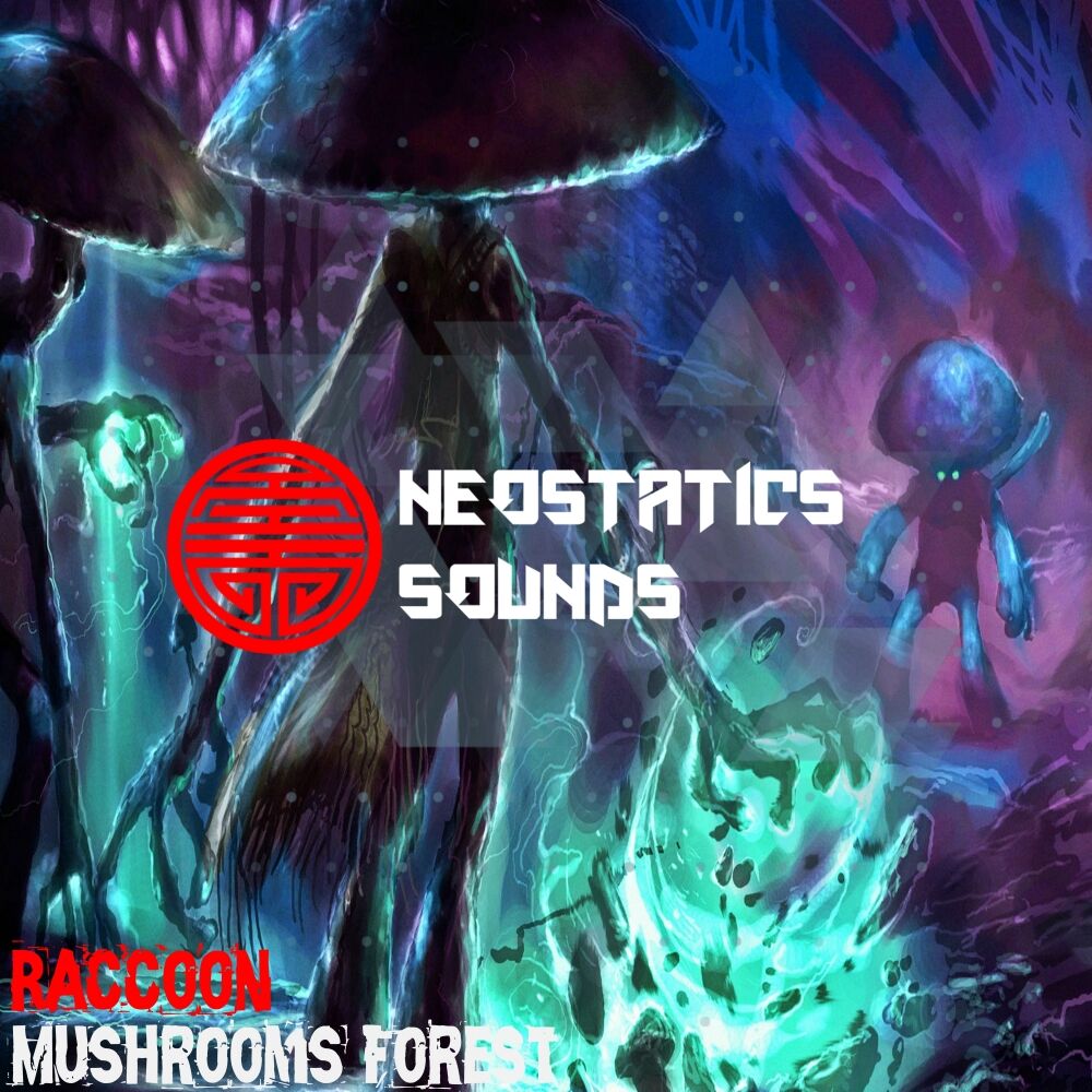 Picture of Mushrooms Forest