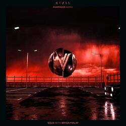Cover of Gold