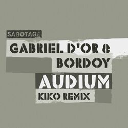 Cover of Audium