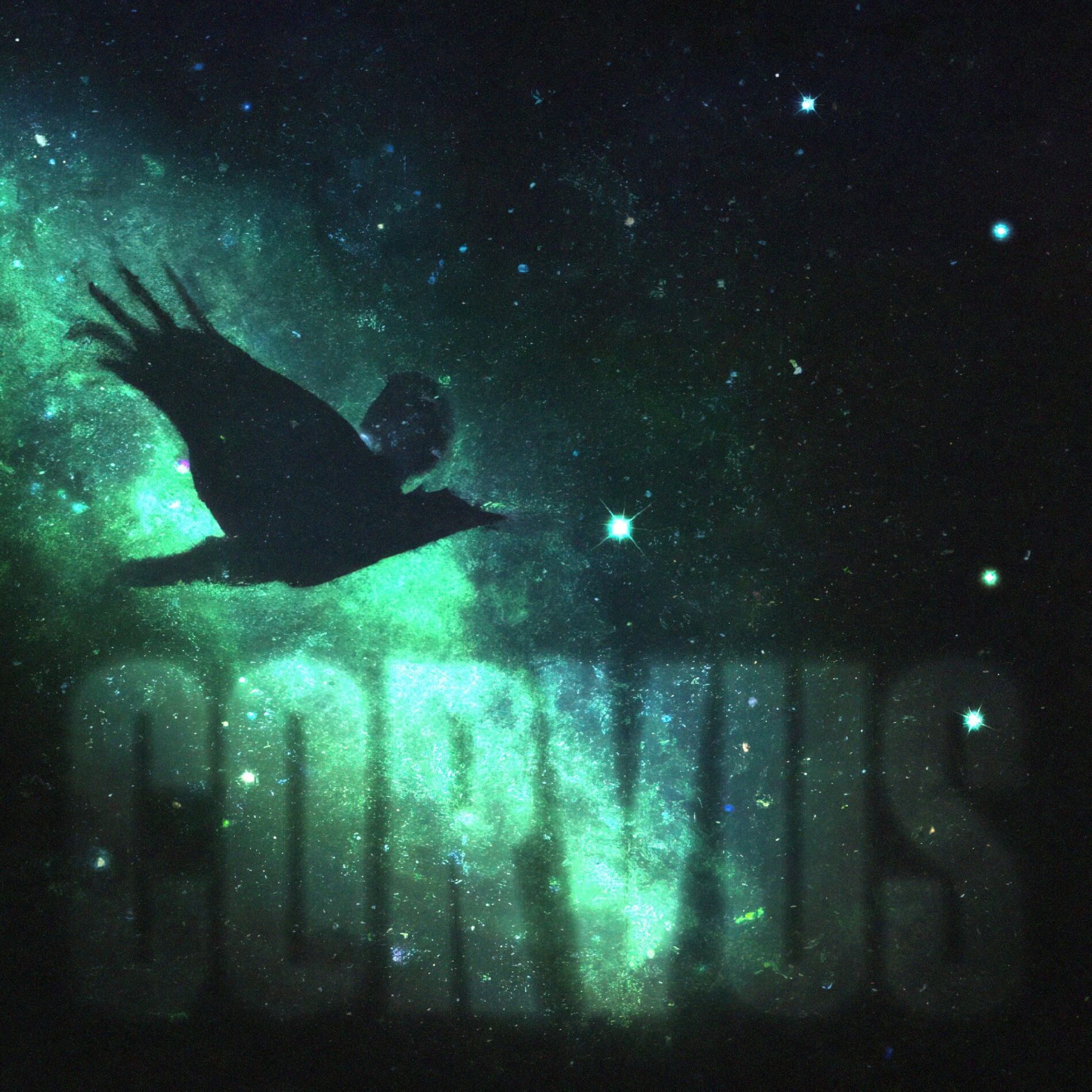 Album cover of Corvus