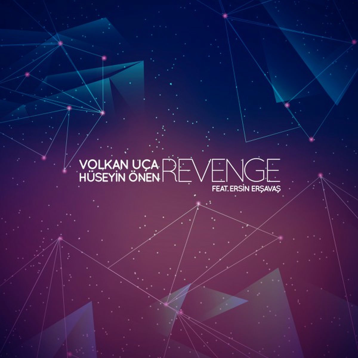 Album cover of Revenge