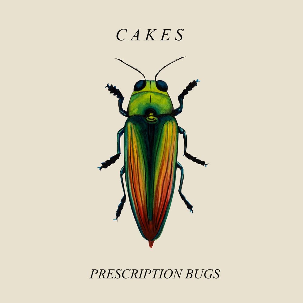 Picture of Prescription Bugs