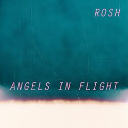 Cover of Angels in Flight