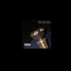 Cover of Arizona Grass