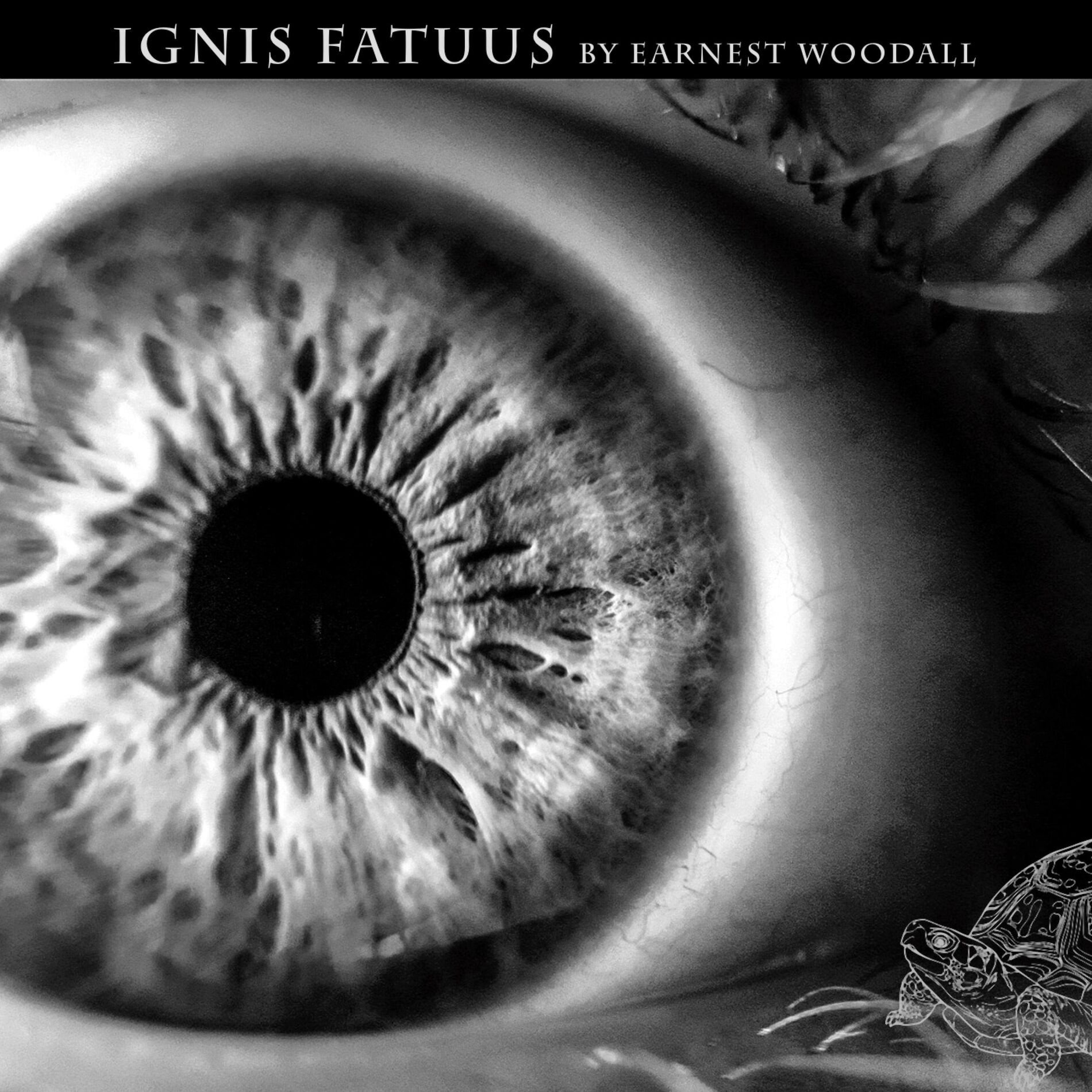 Album cover of Ignis Fatuus