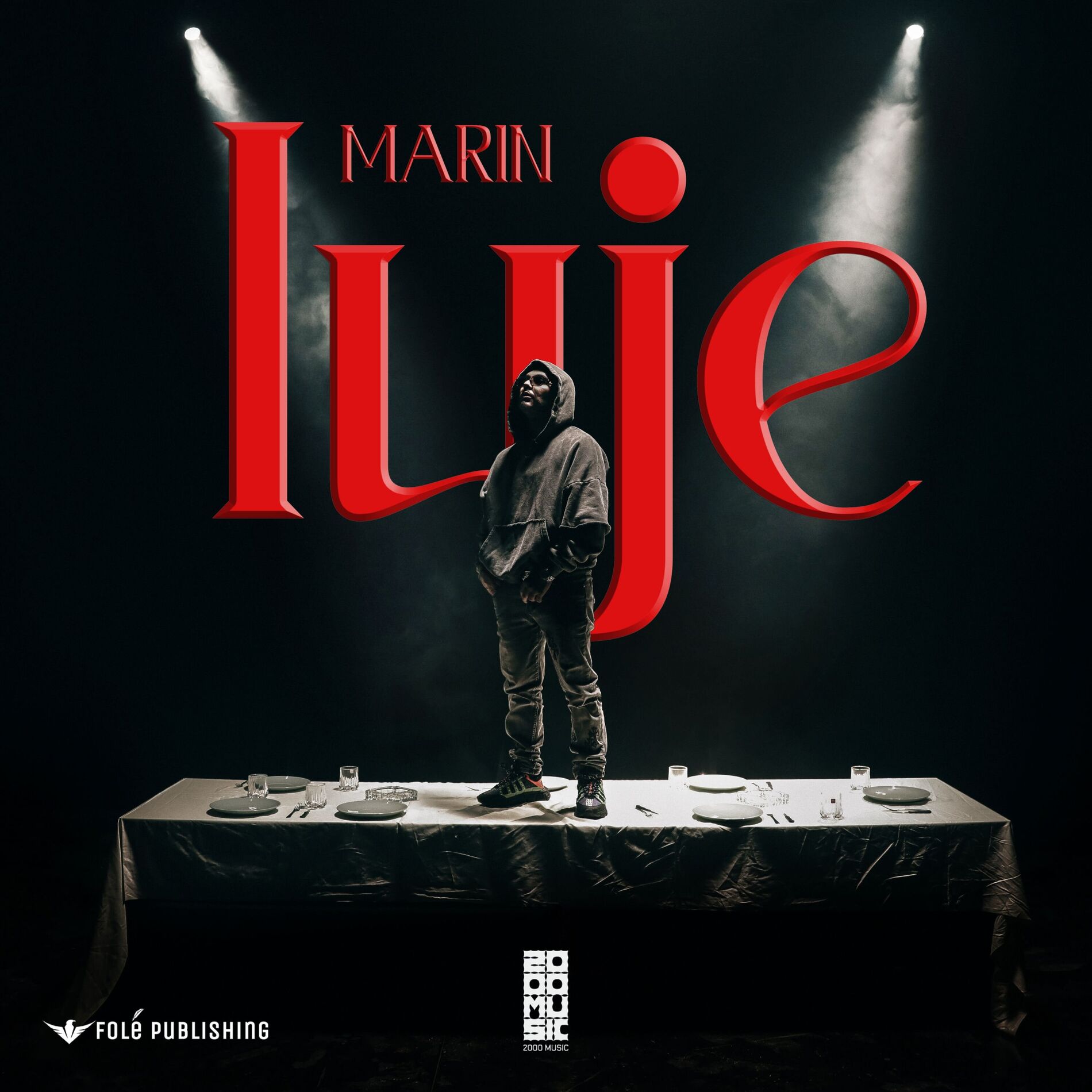 Album cover of Luje