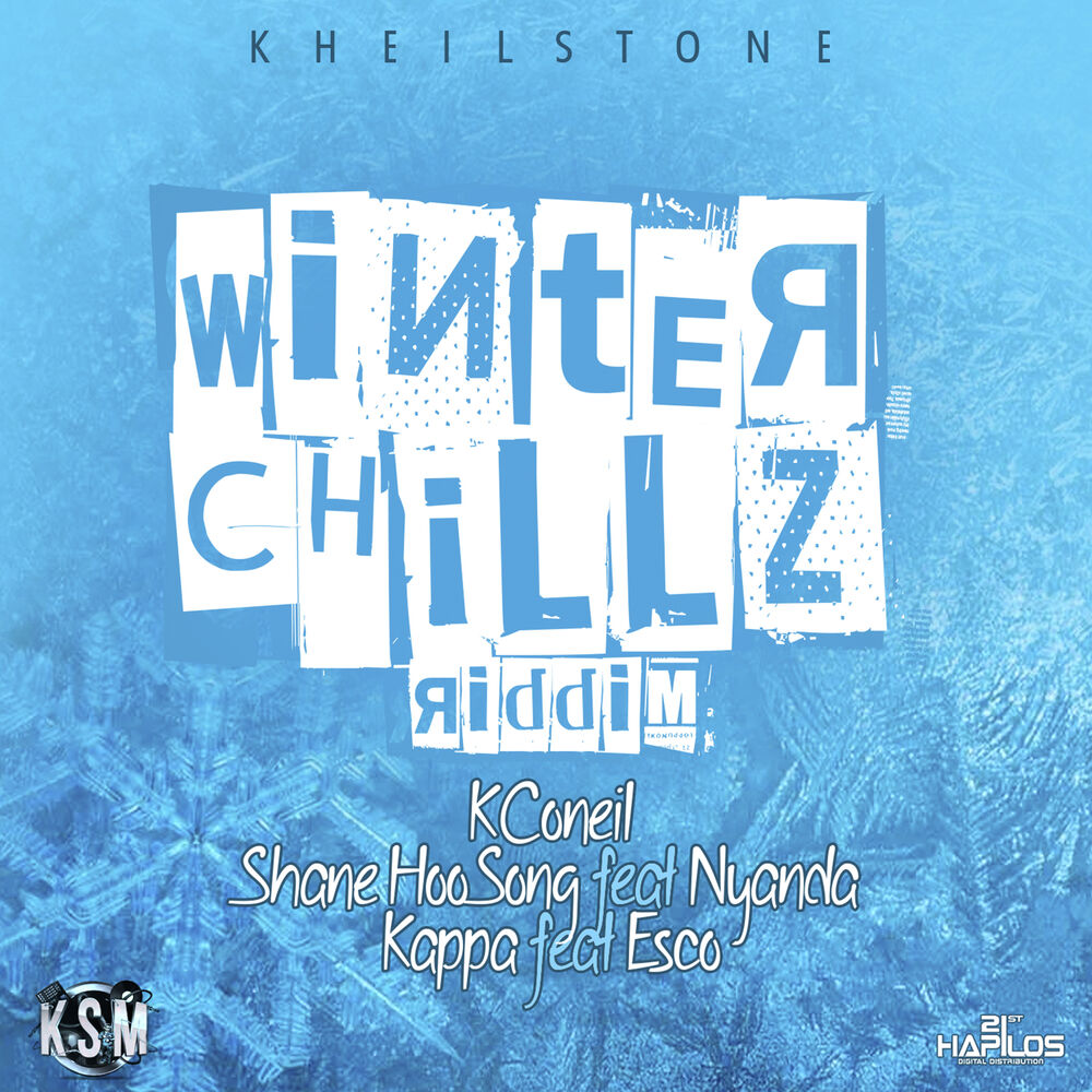 Picture of Winter Chillz Riddim