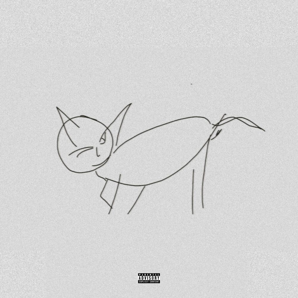 Picture of TRAP CAT