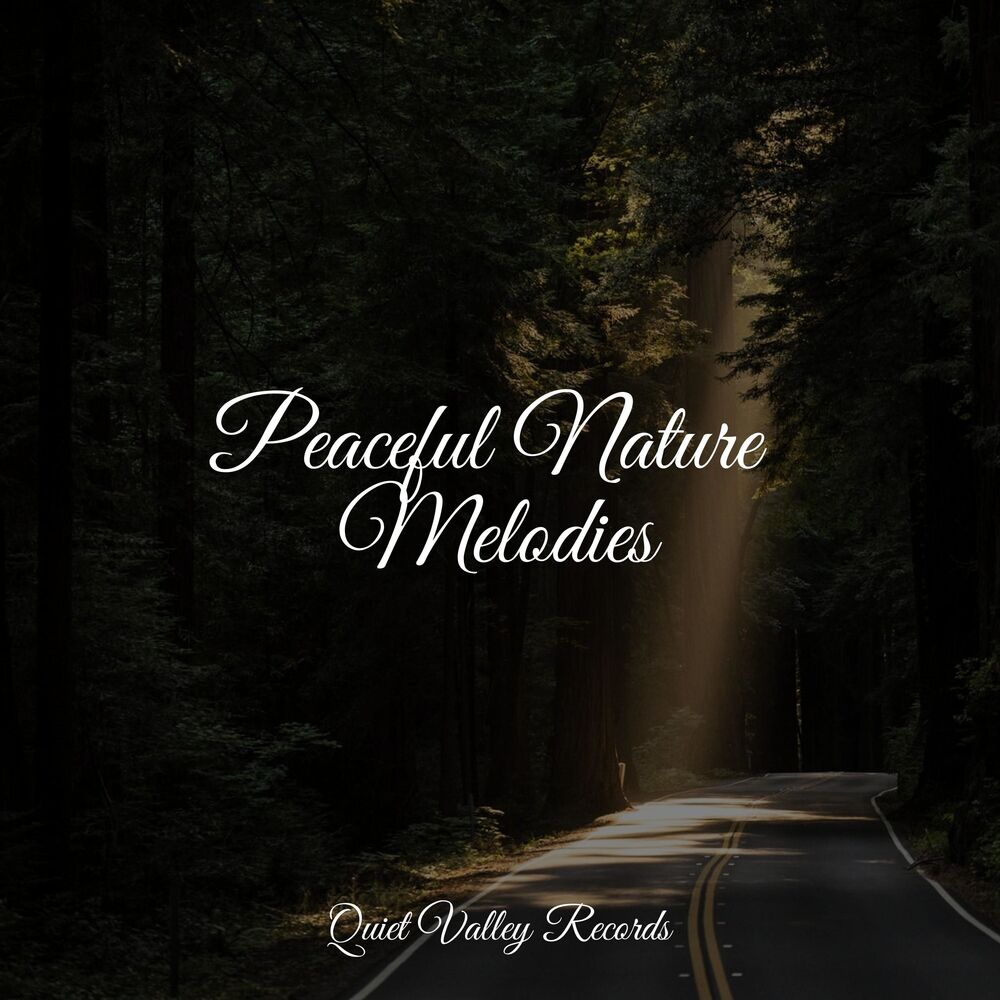 Picture of Peaceful Nature Melodies