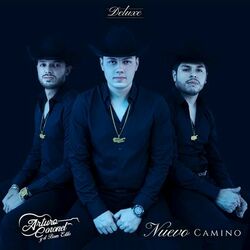 Cover of Nuevo Camino
