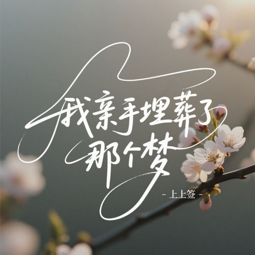 我亲手埋葬了那个梦