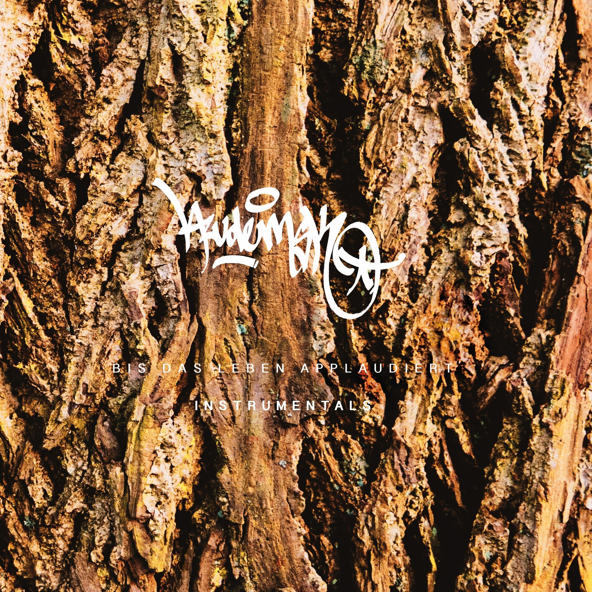 Album cover of Bis das Leben applaudiert (Instrumentals)