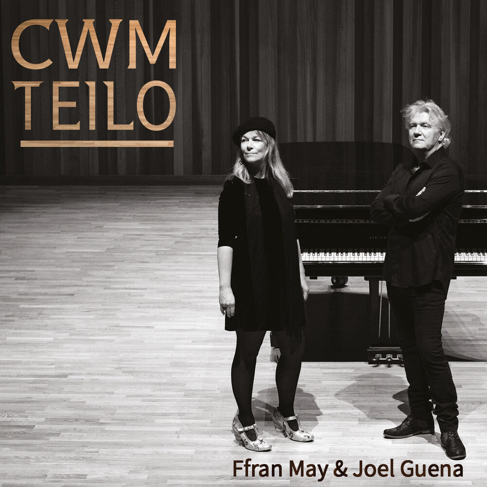 Picture of Cwm Teilo