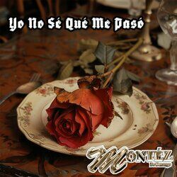 Cover of Yo No Se Que Me Paso