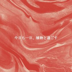 Cover of 今日も一日、植物と過ごす