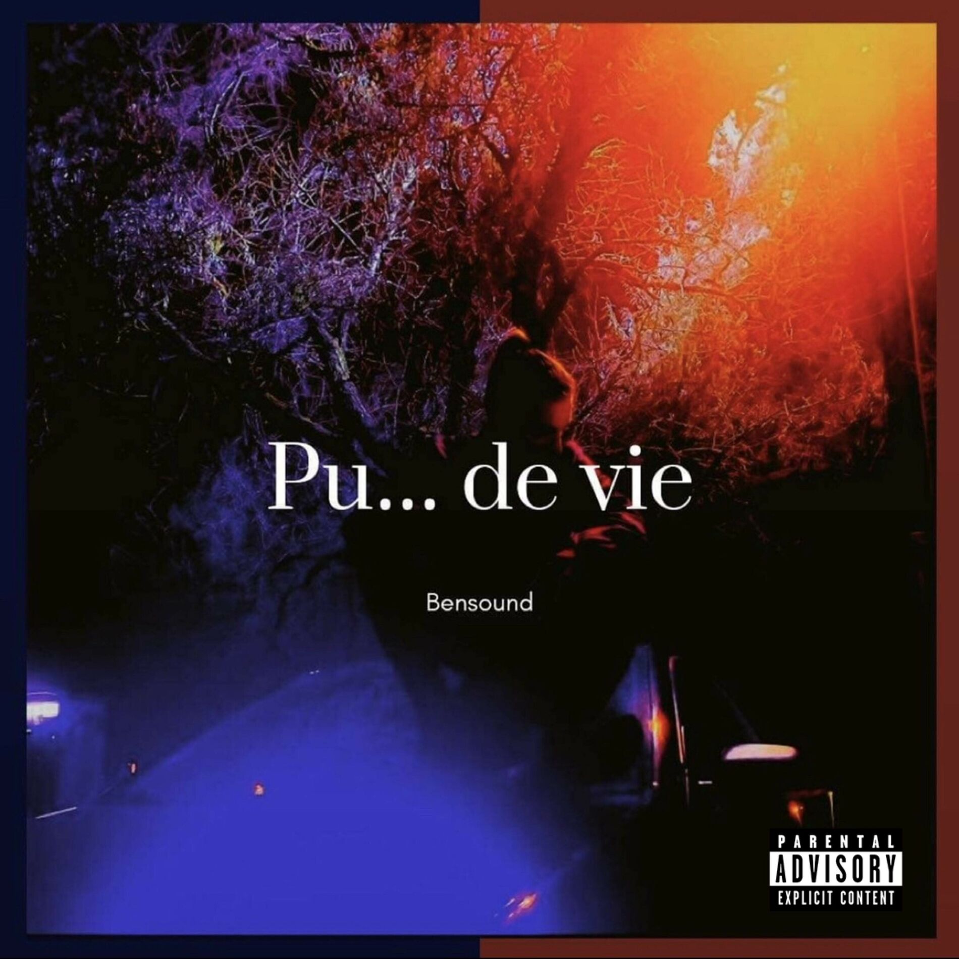 Album cover of PUTIN DE VIE