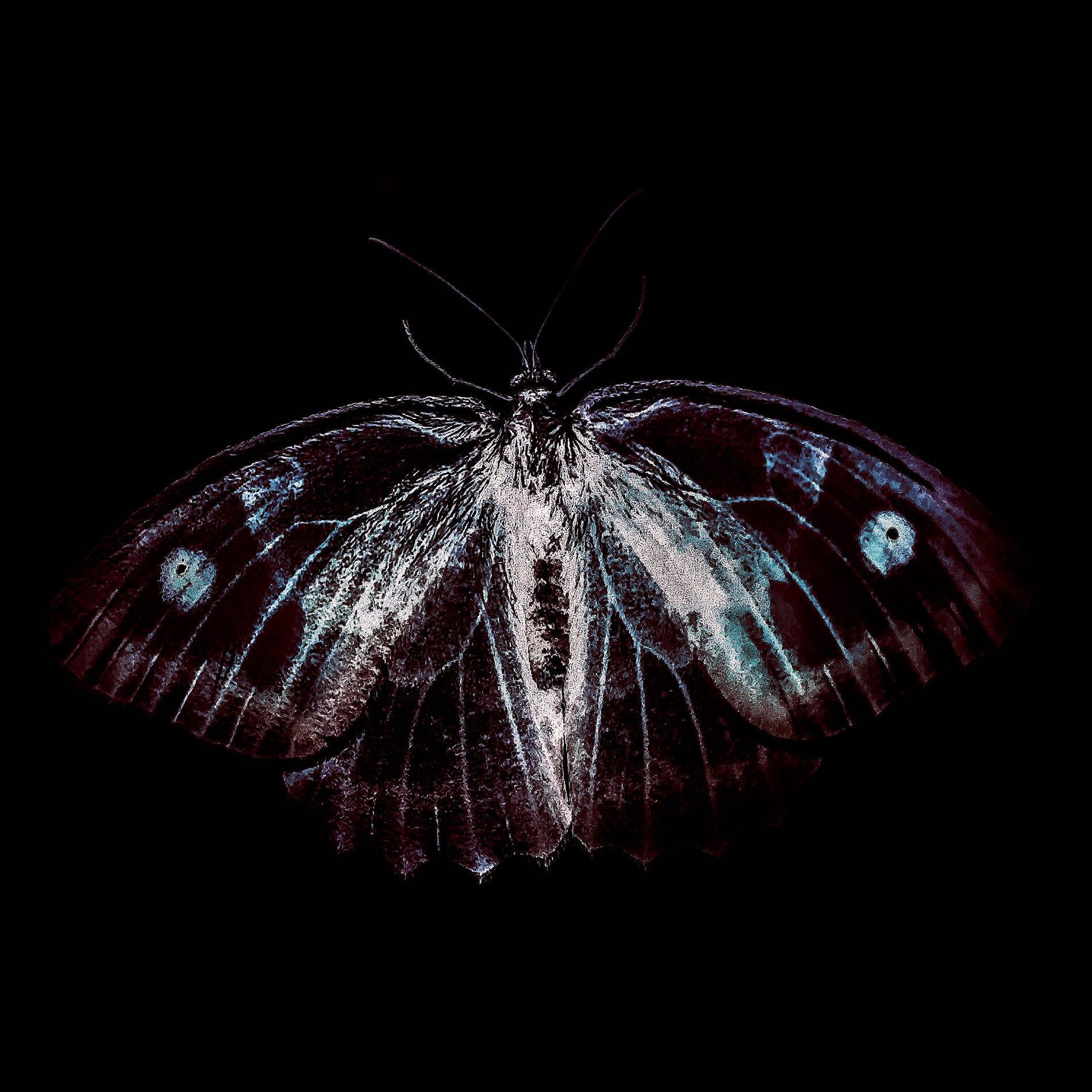 Album cover of BestiaIRE